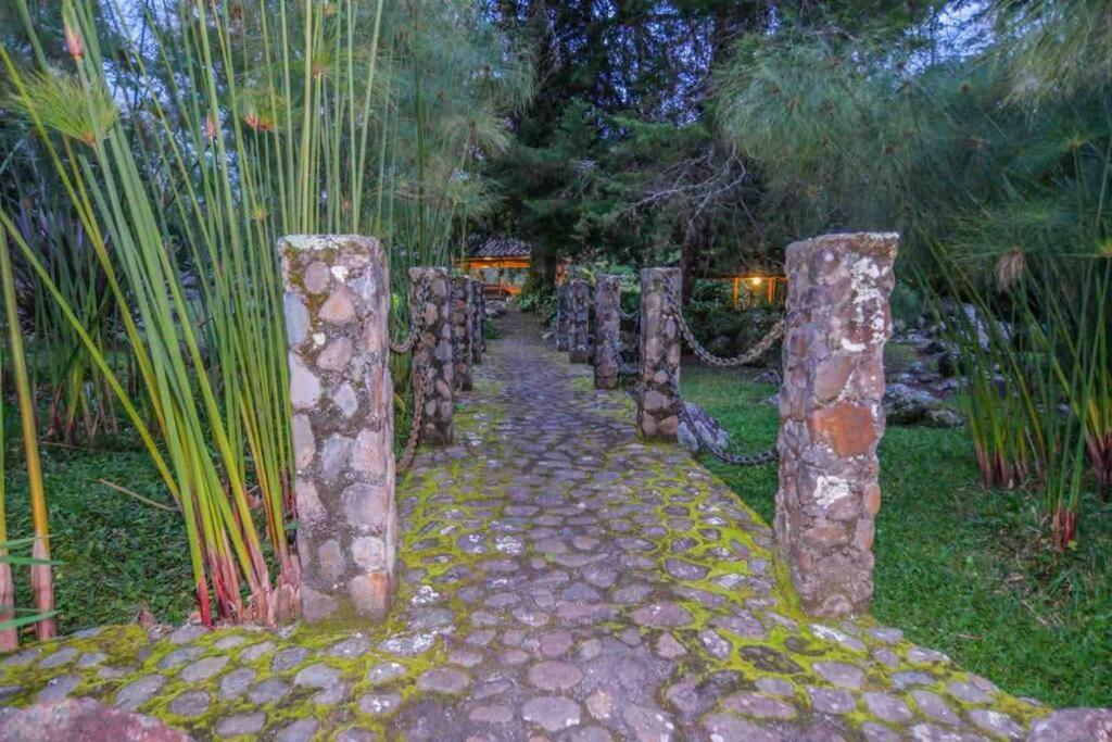 Finca Punta De Piedra Salento, Quindio Villa ภายนอก รูปภาพ