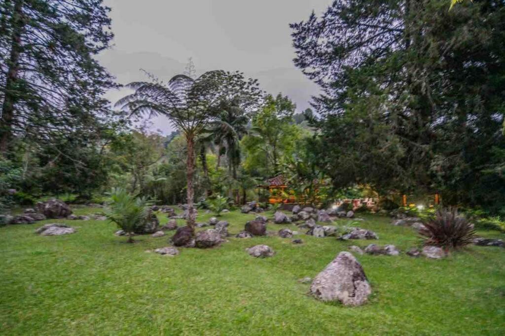Finca Punta De Piedra Salento, Quindio Villa ภายนอก รูปภาพ