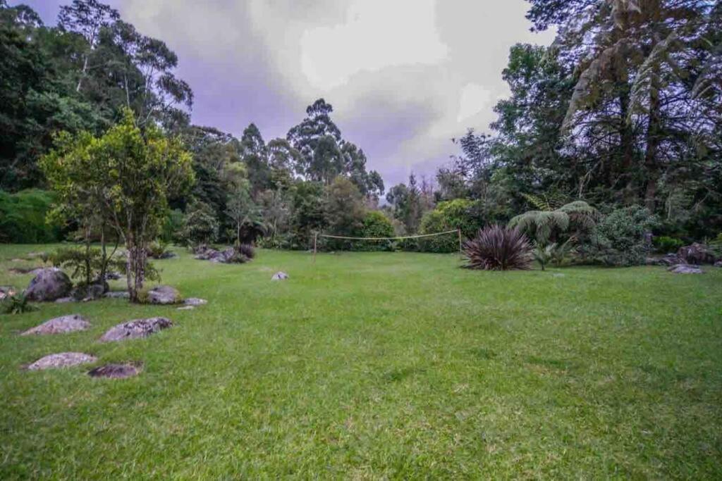 Finca Punta De Piedra Salento, Quindio Villa ภายนอก รูปภาพ