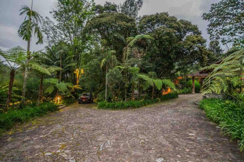 Finca Punta De Piedra Salento, Quindio Villa ภายนอก รูปภาพ